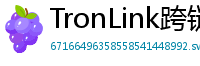 TronLink跨链钱包下载